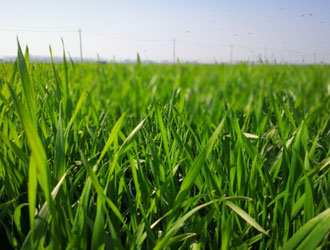 廢銅回收_廢鐵回收_廢鋁回收_稀有金屬回收_固安縣宇固廢品回收